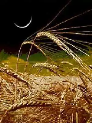 Play Aviv Biblical Calendar Moadim