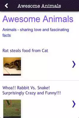 Play Awesome Animals