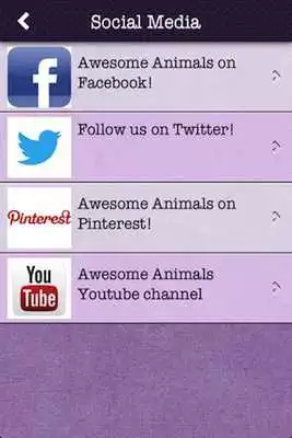 Play Awesome Animals