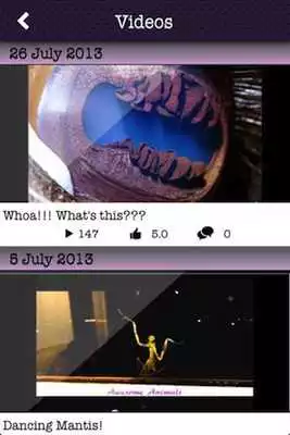 Play Awesome Animals