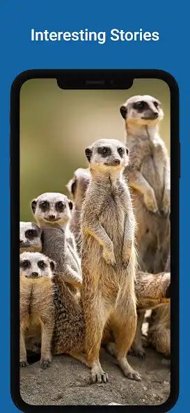 Play Awesome Cool Animal Stories and enjoy Awesome Cool Animal Stories with UptoPlay Play Awesome Cool Animal Stories and enjoy Awesome Cool Animal Stories with UptoPlay