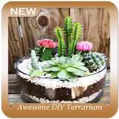 Free play online Awesome DIY Terrarium Planters APK