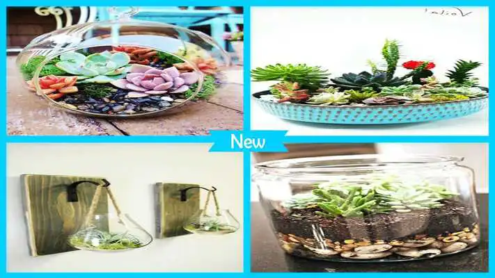 Play Awesome DIY Terrarium Planters