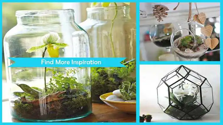 Play Awesome DIY Terrarium Planters