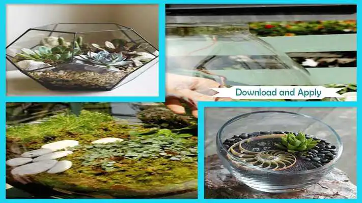 Play Awesome DIY Terrarium Planters