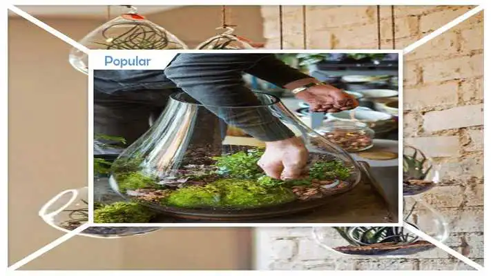 Play Awesome DIY Terrarium Planters