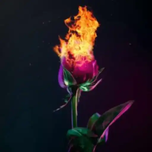 Play Awesome Fire Wallpapers APK