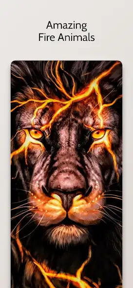 Play Awesome Fire Wallpapers  and enjoy Awesome Fire Wallpapers with UptoPlay