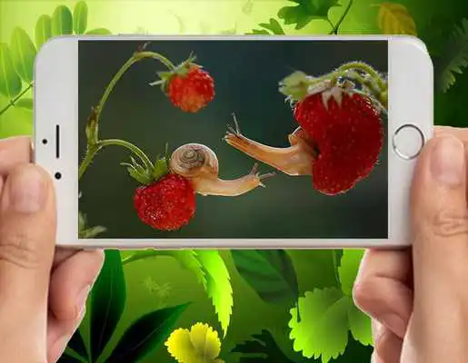 Play Awesome Insect Picture