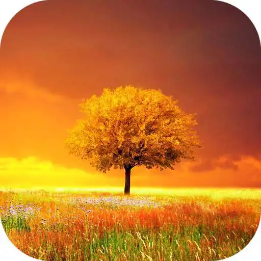 Play Awesome-Land Pro Live wallpaper APK Play Awesome-Land Pro Live wallpaper APK