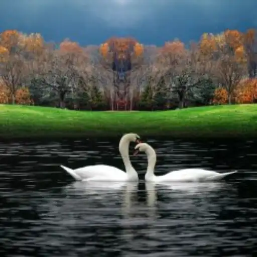 Play Awesome Nature Wallpaper HD/4k APK