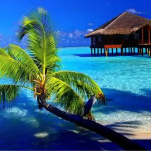 Play Awesome Tropical Wallpapers APK