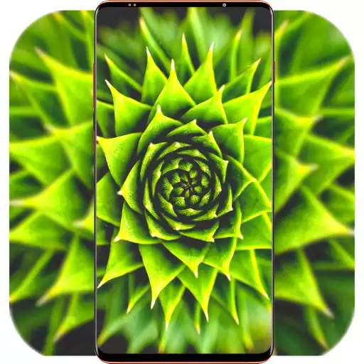 Play Awesome Wallpaper 4K APK Play Awesome Wallpaper 4K APK