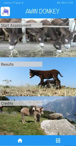 Play AWINDonkey  and enjoy AWINDonkey with UptoPlay