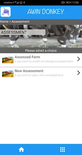 Play AWINDonkey as an online game AWINDonkey with UptoPlay