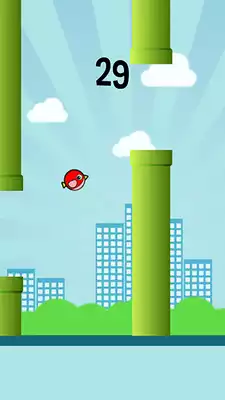 Play Awkward Birdy