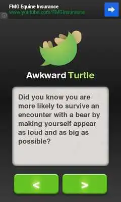 Play Awkward Turtle