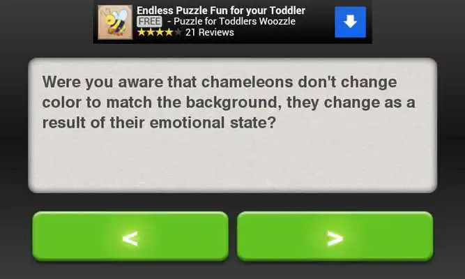 Play Awkward Turtle