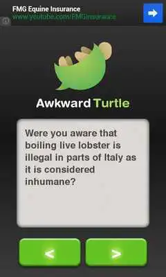 Play Awkward Turtle