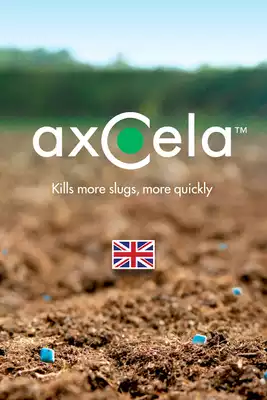 Play AXCELA Pellet Checker Play AXCELA Pellet Checker