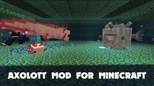 Play Axolotl Mod for Minecraft PE as an online game Axolotl Mod for Minecraft PE with UptoPlay