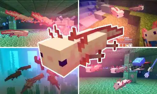 Play Axolotls Mod for Minecraft PE  and enjoy Axolotls Mod for Minecraft PE with UptoPlay