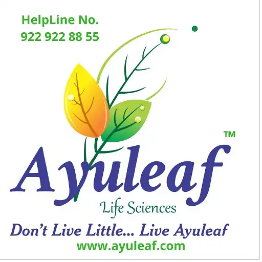 Play Ayuleaf APK Play Ayuleaf APK