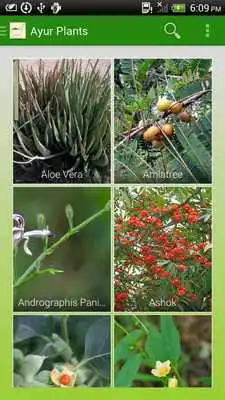 Play AyurCare Play AyurCare