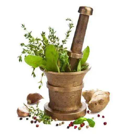 Play Ayurveda Apna Dala To Life Zingalalaa APK Play Ayurveda Apna Dala To Life Zingalalaa APK