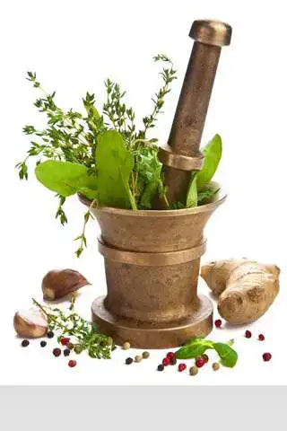 Play Ayurveda Apna Dala To Life Zingalalaa  and enjoy Ayurveda Apna Dala To Life Zingalalaa with UptoPlay