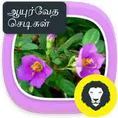 Free play online Ayurvedic Herbal  Plants Tips APK