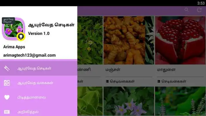 Play Ayurvedic Herbal  Plants Tips