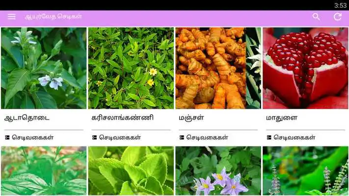 Play Ayurvedic Herbal  Plants Tips