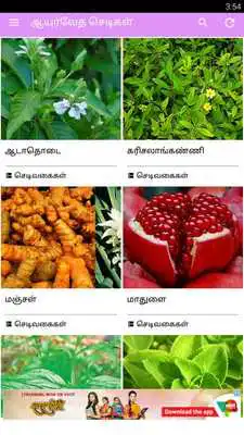 Play Ayurvedic Herbal  Plants Tips