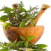 Free play online Ayurvedic Herbs Home Remedies APK Free play online Ayurvedic Herbs Home Remedies APK