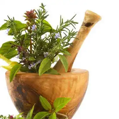 Play Ayurvedic Herbs Home Remedies