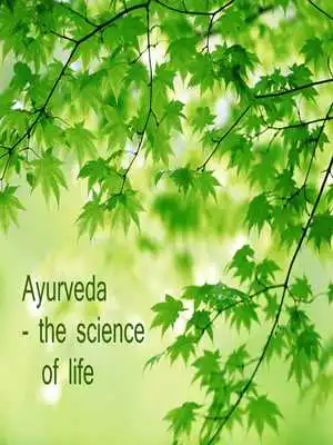 Play Ayurvedic Herbs Home Remedies