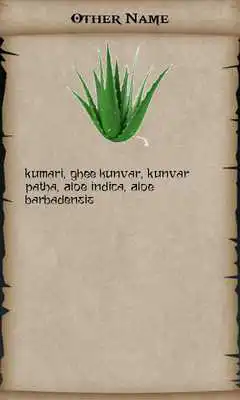 Play Ayurvedic Herbs