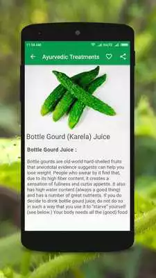 Play Ayurvedic Treatments(Ayurveda)