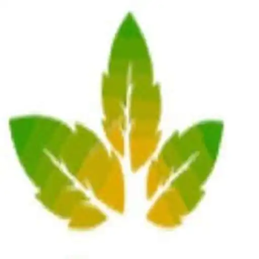 Play Ayurved Pravin App APK