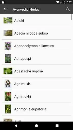 Play AyurWiki as an online game AyurWiki with UptoPlay