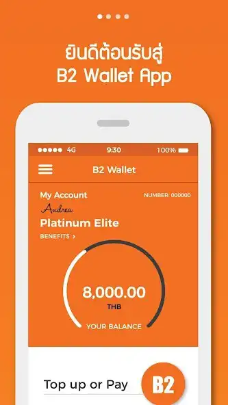 Play B2 Wallet  and enjoy B2 Wallet with UptoPlay