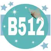 Free play online B512 Best Selfie-Edit-Share APK