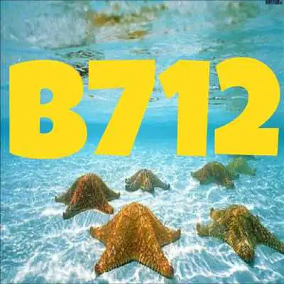 Play B712 Camera