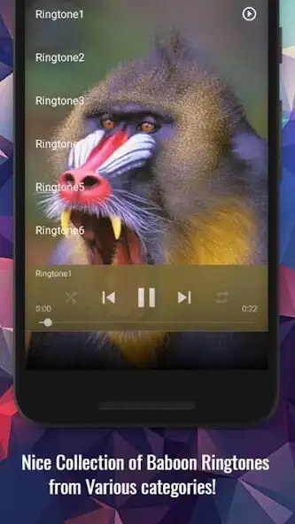 Play Baboon Sounds as an online game Baboon Sounds with UptoPlay