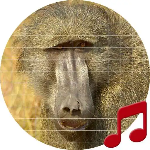 Free play online Baboon sounds ~ Sboard.pro APK