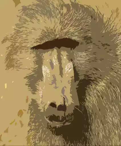 Play Baboon sounds ~ Sboard.pro