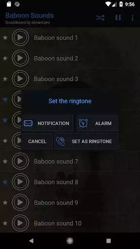 Play Baboon sounds ~ Sboard.pro