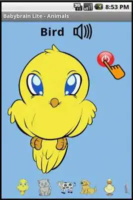 Play Babybrain Lite Play Babybrain Lite