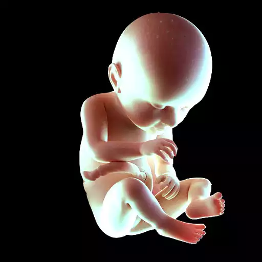 Free play online Baby Care APK